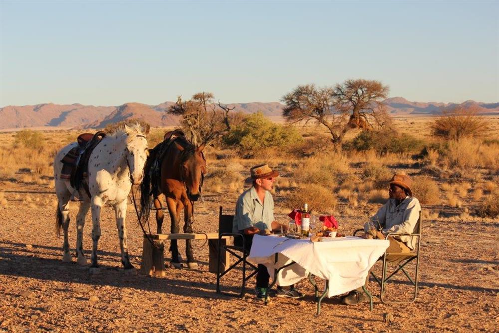 Desert Homestead